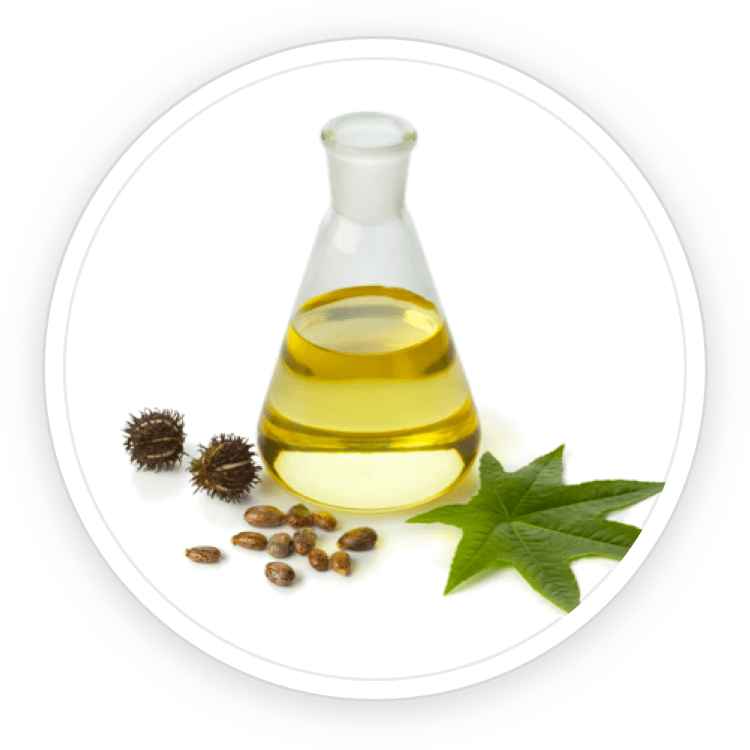 Quietum Plus ingredients