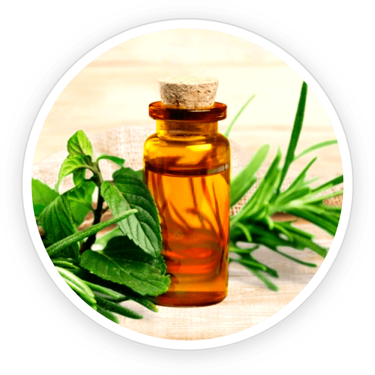 Quietum Plus ingredients